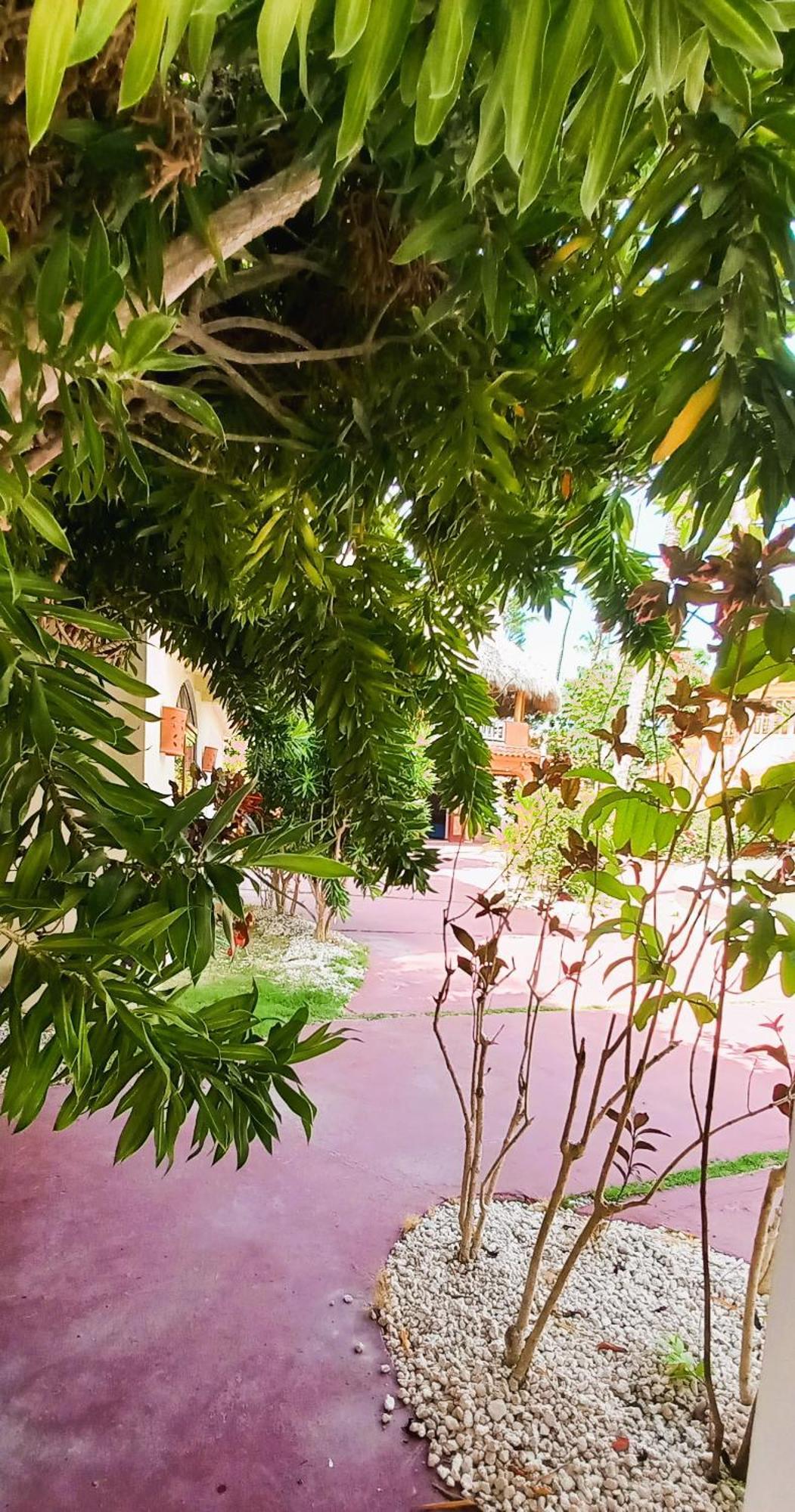 Appart hôtel La Piazzetta - Corales Village